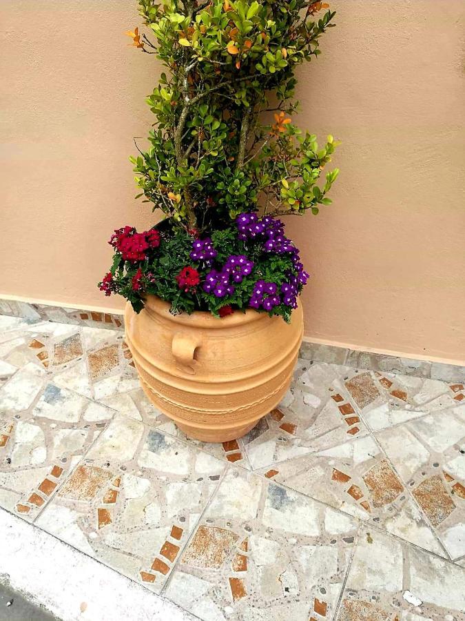 Joy New Port Studio Corfu Town Екстериор снимка